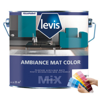 Peinture LEVIS Ambiance mat color base C 1L