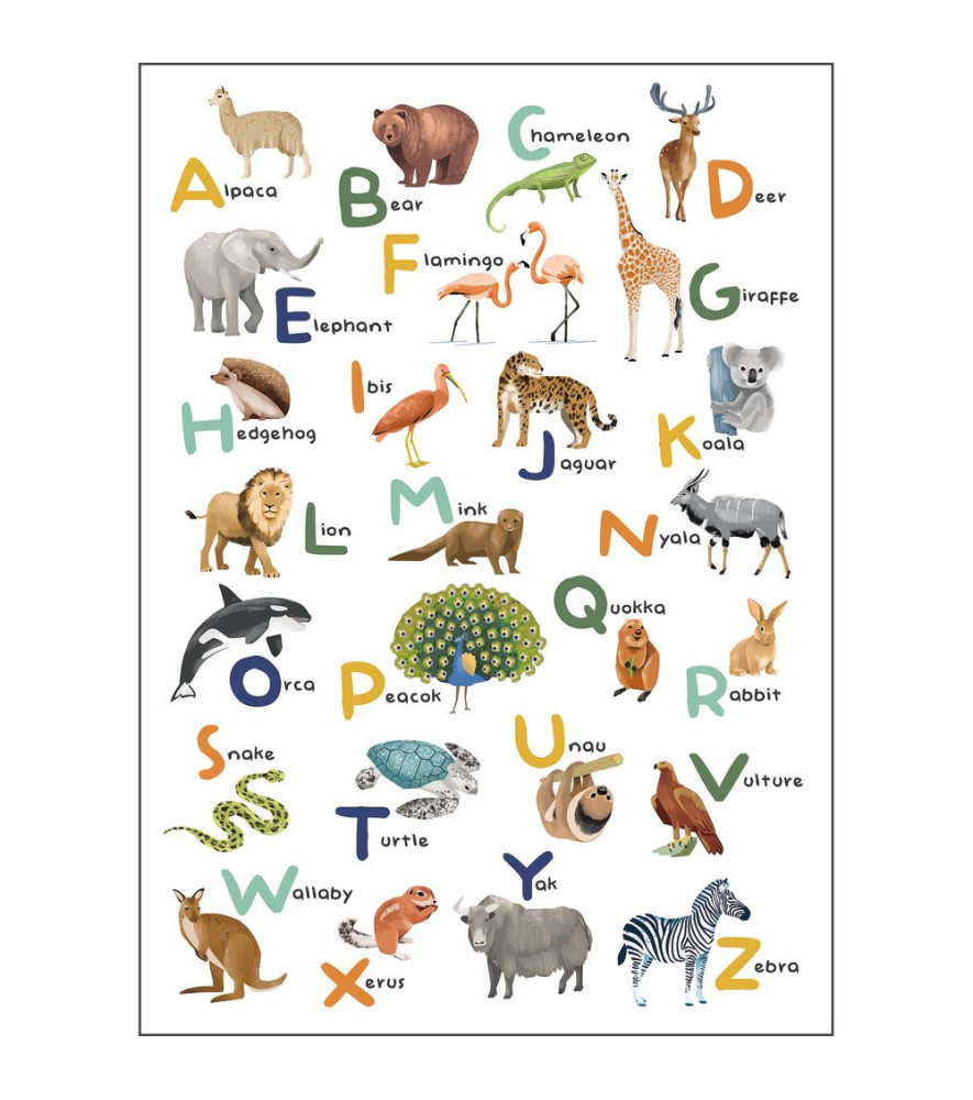 Panoramique CASELIO Collection LES MINIS MONDES LET S LEARN THE ALPHABET MNM105857003 200x280cm Panoramique CASELIO Collection LES MINIS MONDES LET S LEARN THE ALPHABET MNM105857003 200x280cm