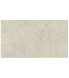 DELZONGLE Decotex
