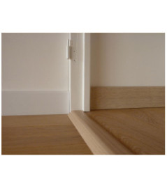 PANAGET Seuil parquet 3-en-1