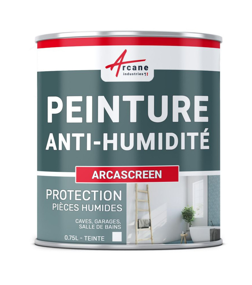 Peinture anti-humidité ARCASCREEN blanc 0,75L