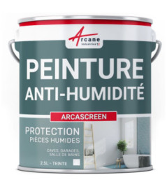 Peinture anti-humidité ARCASCREEN blanc 2,5L