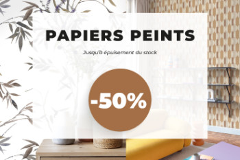 Promotion Papiers Peints Stocks