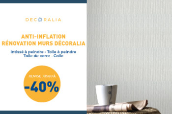 Promotion Renovation Des Murs